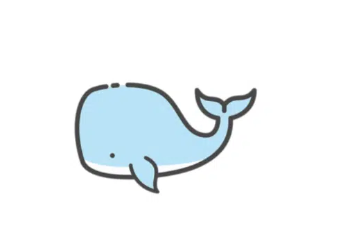 白鲸加速器评测-白鲸加速器永久免费破解版官网安卓iOS下载